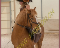 1AMAZONE- 0271